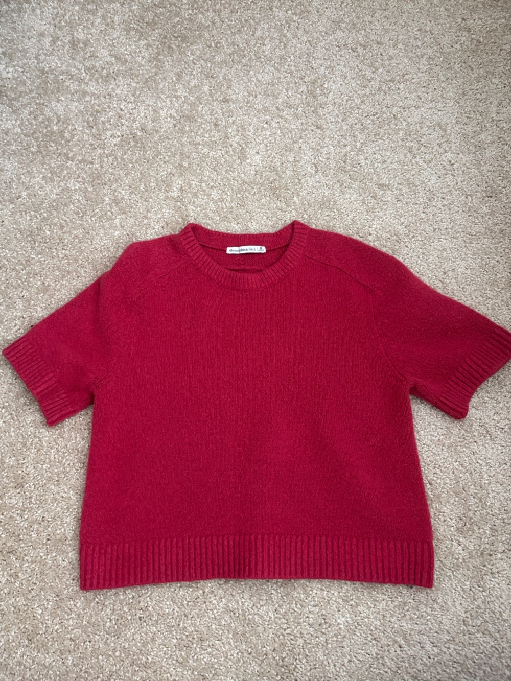 Abercrombie & Fitch Cranberry Short Sleeve Crewneck Sweater